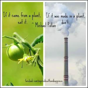 If It Came From a Plant, eat it. If it did not come from a plant, don't!