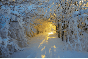 snow covered walk way at sunset