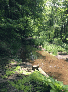 eastern pa wooded creek