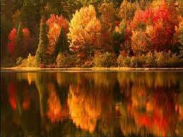 Fall Trees Lake