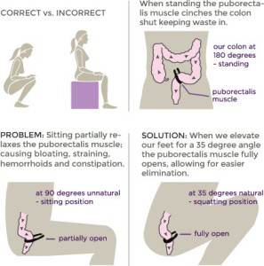 the colon proper position
