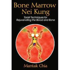 bone marrow nei kung book by mantak chia