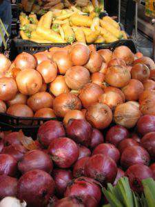 farm fresh onions and carrots