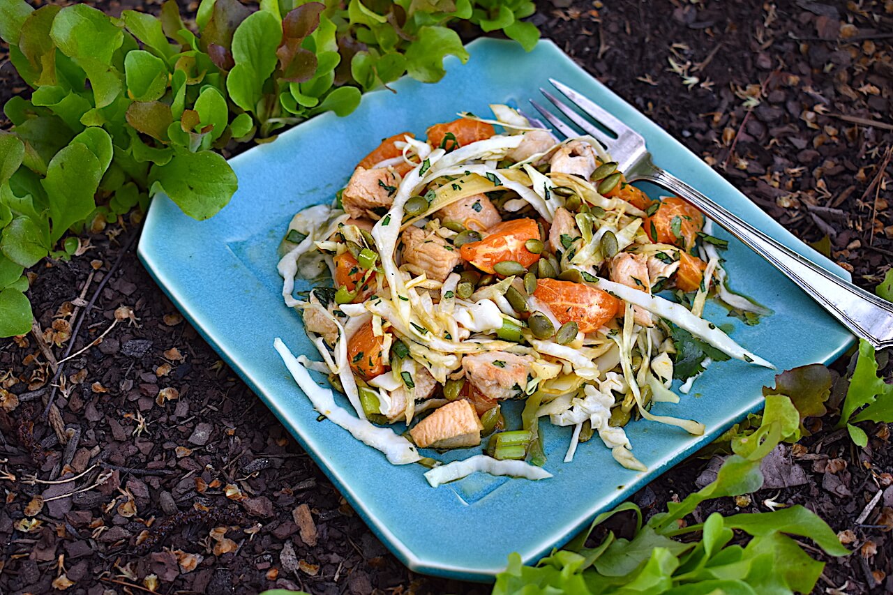 Bone-Boosting Asian Chicken and Cabbage Dish - Food For Healthy Bones