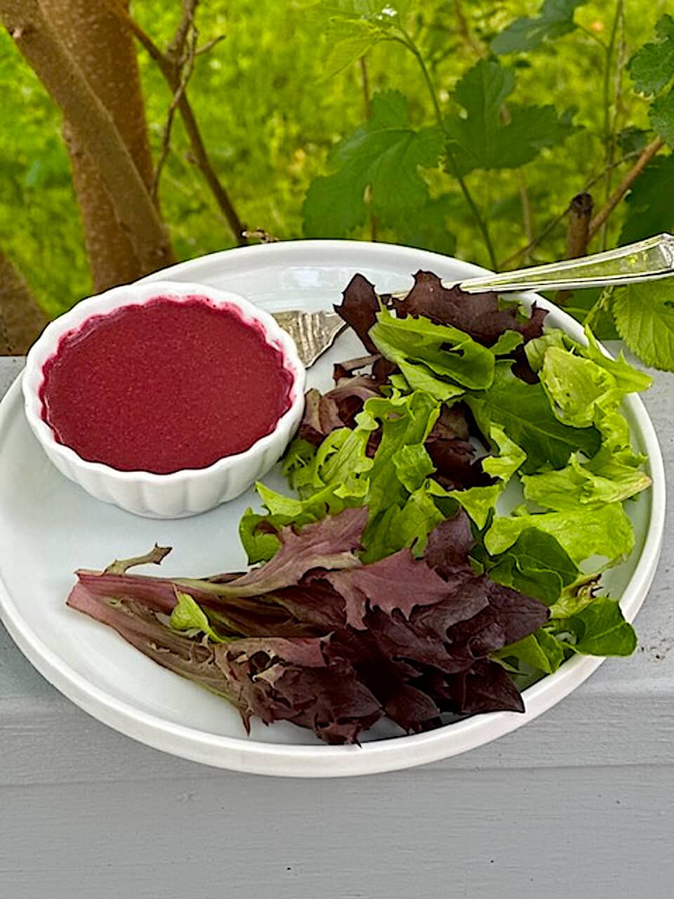 Wild Blueberry Vinaigrette - Food For Healthy Bones
