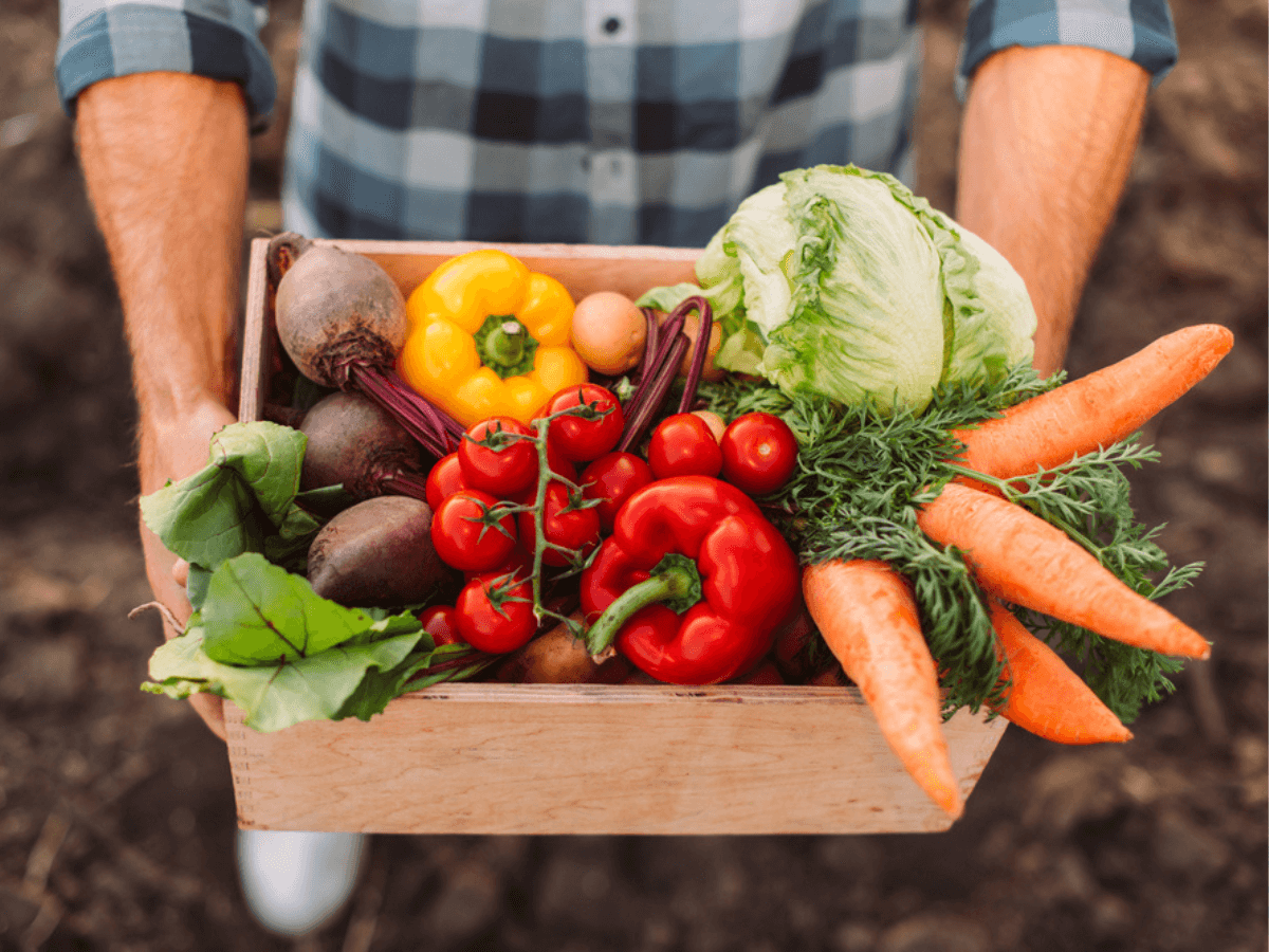 Vegetables inside a Box